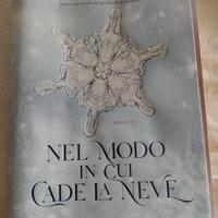 NEL MODO IN CUI CADE LA NEVE 