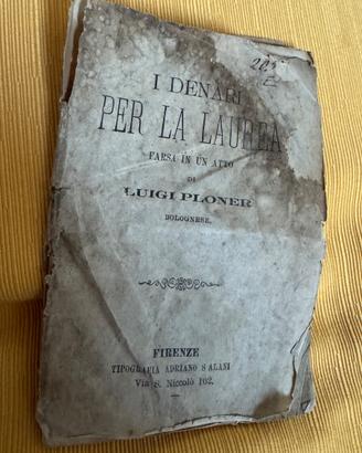Luigi Ploner - I denari per la laurea (Salani FI)