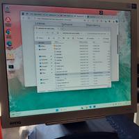 Monitor 19”  BenQ FP71G