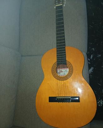 Chitarra classica   Eko