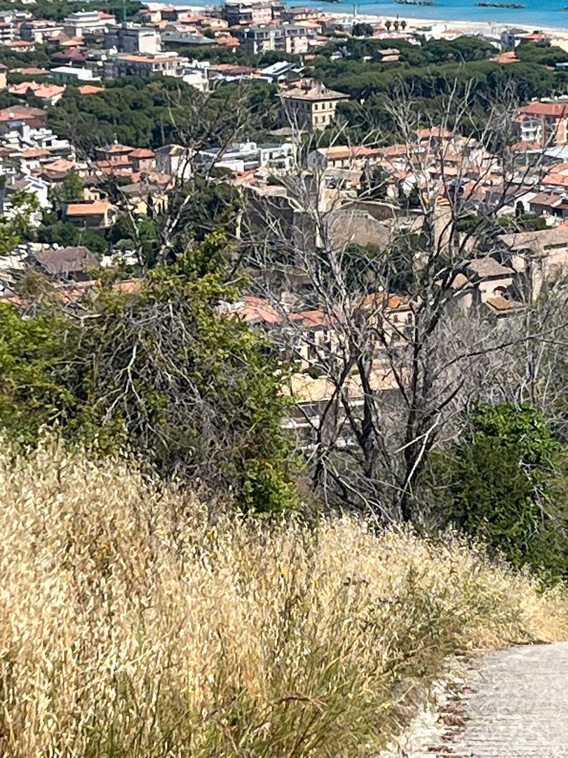 Terreno agricolo - Vista 3
