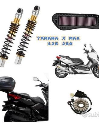 Yamaha X Max 125 250 bauletto plexi scarico freni
