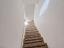 Immagine 25