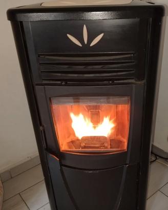 Stufa a pellet ad aria