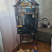 Gabbia e accessori per pappagalli e uccelli