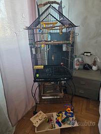 Gabbia e accessori per pappagalli e uccelli