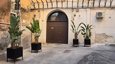 Attico per Hotel Boutique con 8 suite e terrazzo
