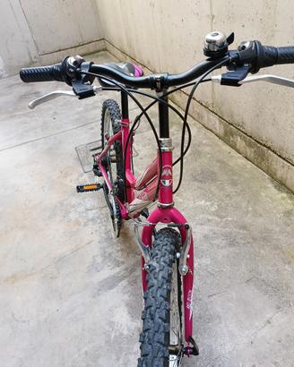Bicicletta