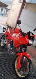 honda dominator 650