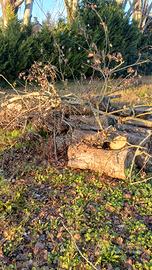 LEGNA SECCA DA ARDERE