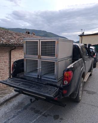 Gabbie coibentate su misura per trasporto cani
