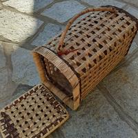 trasportino per gatti