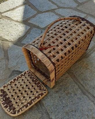 trasportino per gatti