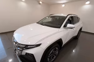 Hyundai Tucson 1.6 CRDI 48V DCT Business