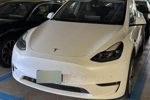 tesla model y lr awd dual motor
