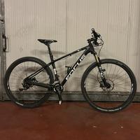 MTB FOCUS IN CARBONIO