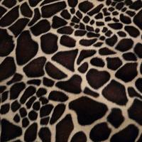 2 TAPPETI animalier 