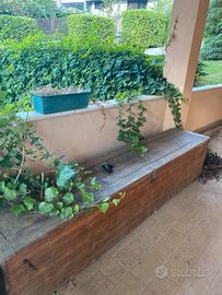 Cassa per gli attrezzi da giardino