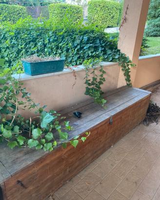Cassa per gli attrezzi da giardino