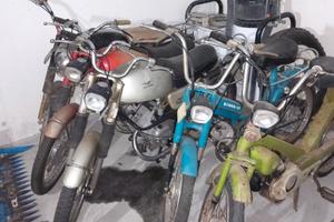 Guzzi Dingo