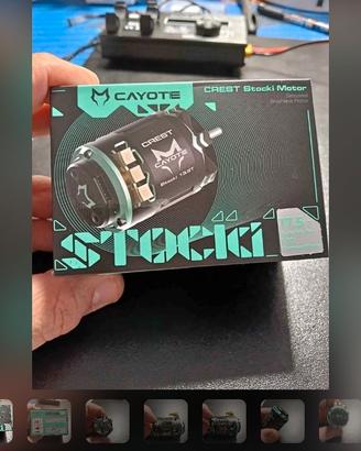 Motore Cayote Stoky 