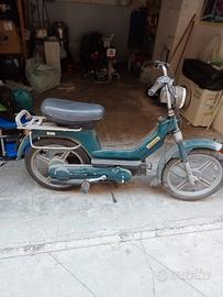 boxer piaggio cc50
