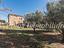 Immagine 21