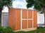 Immagine 5