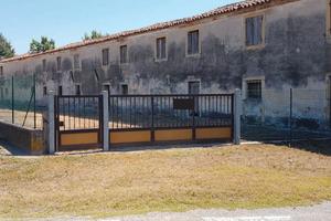 Rge 114/2022 Tribunale Verona - Lotto 2)