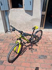 bici da 24