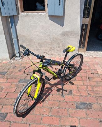 bici da 24