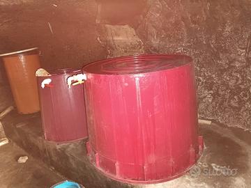 bottoni tini vino cantina