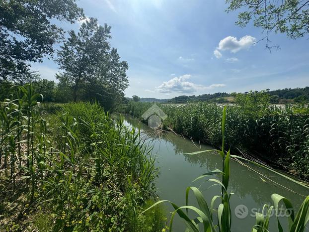 TER. AGRICOLO A TERRICCIOLA