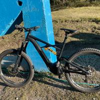 Specialized Kenevo MTB