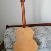 Godin chitarra semiacustica