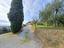 Immagine 15