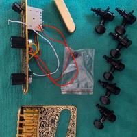 TELECASTER set completo NERO & ORO