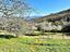 Immagine 28