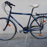 bicicletta trekking 