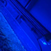 Vendi 3 barre led GNC CON POWER MOON