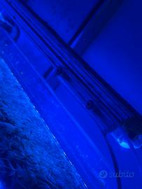 Vendi 3 barre led GNC CON POWER MOON