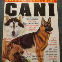 Tutto tempo libero cani