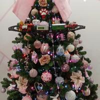 albero di natale 