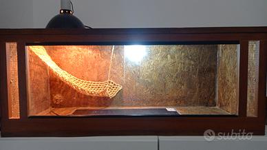 Teca, Terrario per rettili 100x40x40