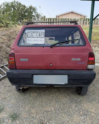 Panda Young 900 anno 2000