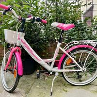 bicicletta