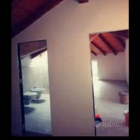 Artigiano nell'arte di muratore e pittore stucco