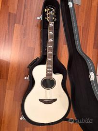 Yamaha APX 1000