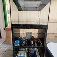 Acquario Askoll 50 litri con accessori