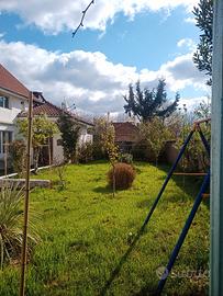 Giardiniere esperto nel settore